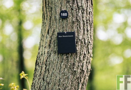 Waldfriedhof Eifel, Plakette und Namensschild