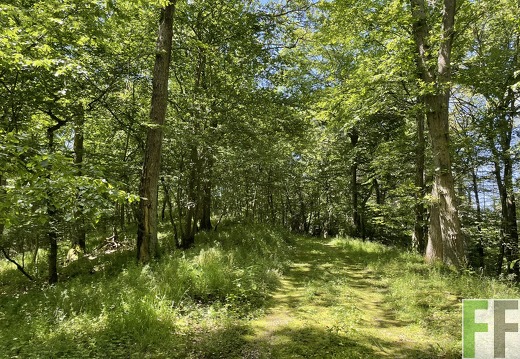 Waldfriedhof Eifel, Gemeinde Hümmel
