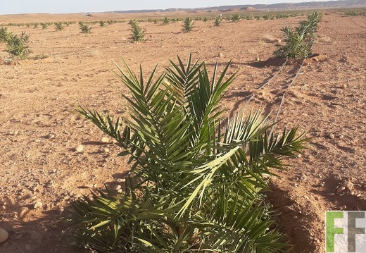 Aktuelle Bilder Marokko 2023