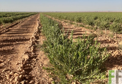 Aktuelle Bilder Marokko 2023