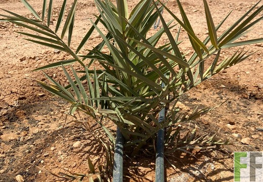 Aktuelle Bilder Marokko 2023