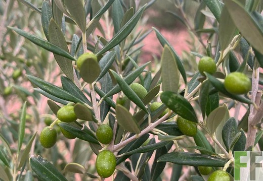 Aktuelle Bilder Marokko 2023