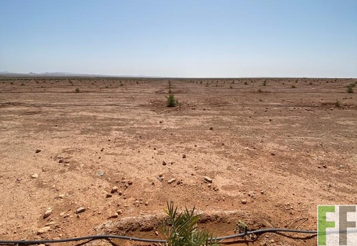 Aktuelle Bilder Marokko 2023