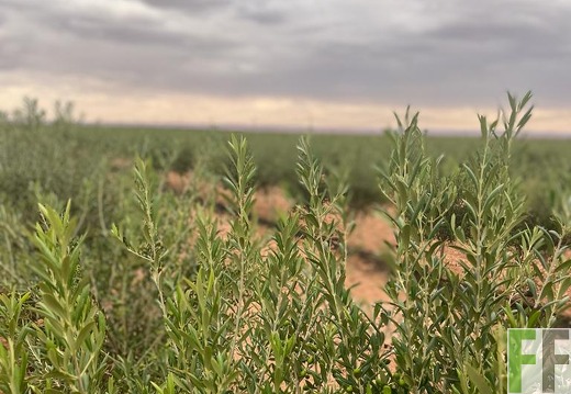 Aktuelle Bilder Marokko 2023