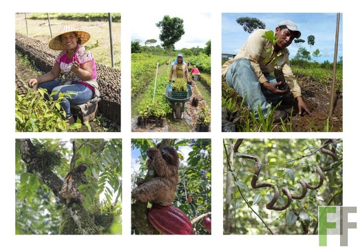 Fotoauswahl_GeschenkBaum.de