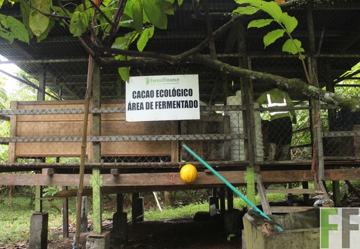 Finca Rio Uyama 2022