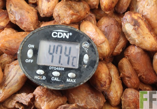 Finca Quebrada Limón 2022