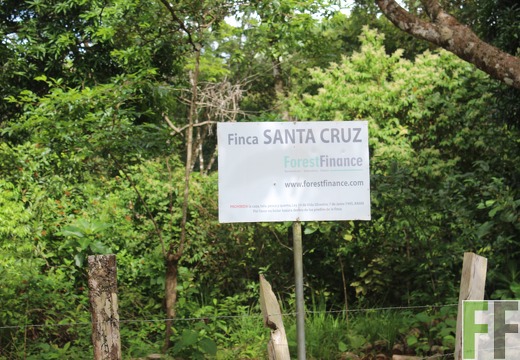 Finca Santa Cruz 1 2022
