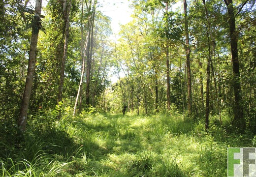 Finca Pampanillo 2022