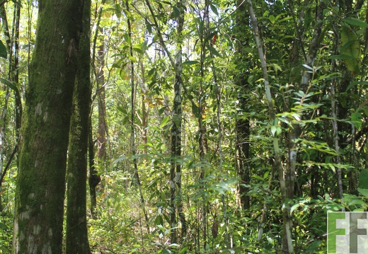 Finca Pampanillo 2022