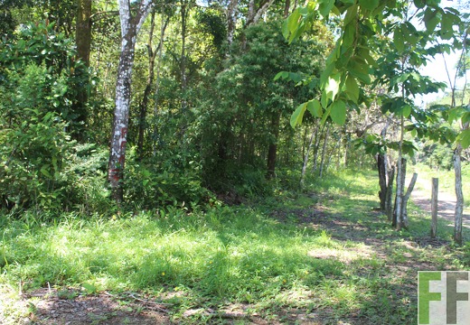 Finca Pampanillo 2022