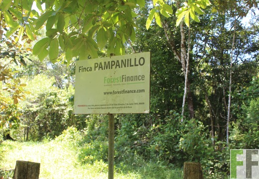 Finca Pampanillo 2022