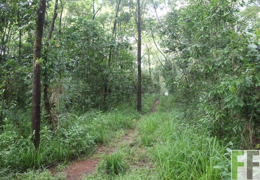 Finca Madera Fina 2022