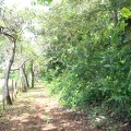 Finca Los Rios I