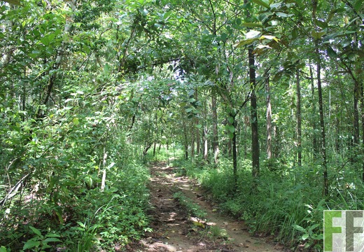 Finca Los Rio I 2022