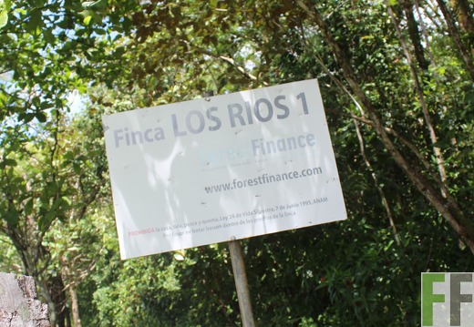 Finca Los Rio I 2022