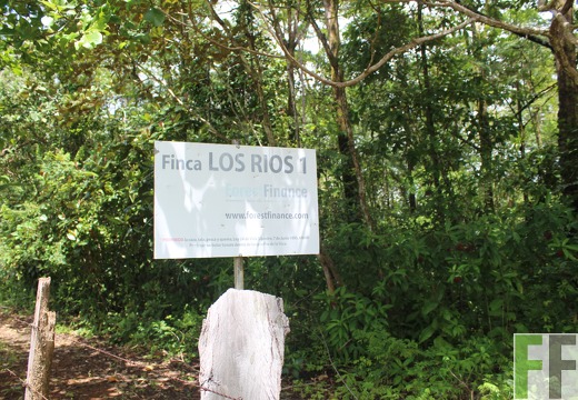 Finca Los Rio I 2022