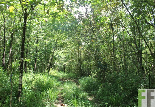 Finca Los Rio III 2022