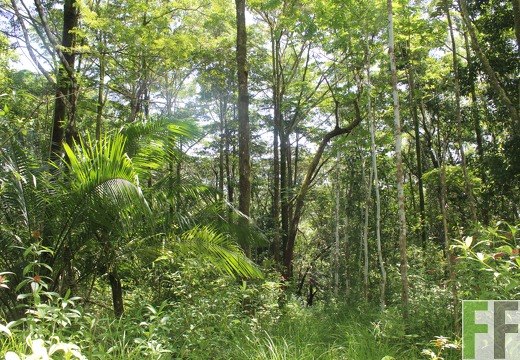 Finca Los Monos III 2022