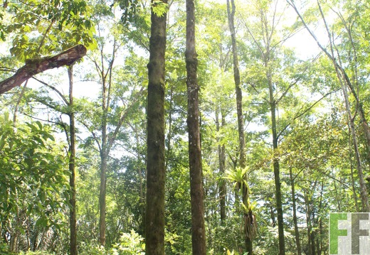 Finca Los Monos III 2022