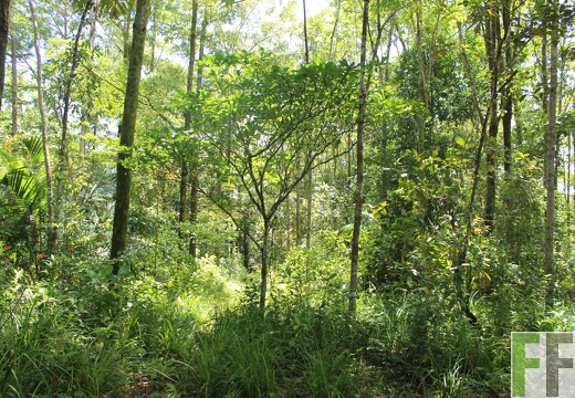 Finca Los Monos III 2022