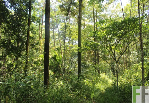 Finca Los Monos III 2022