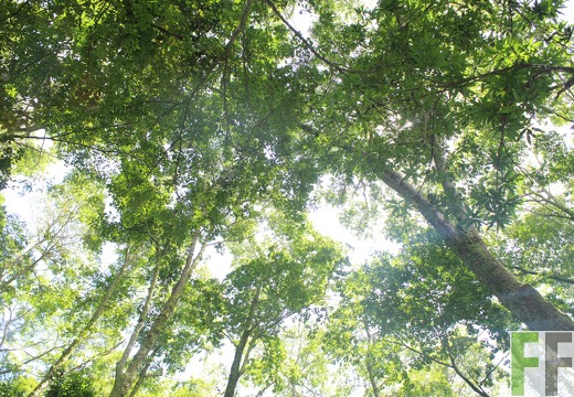 Finca Los Monos II 2022