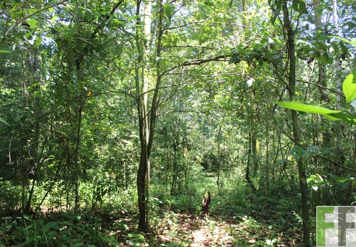 Finca Los Monos I 2022