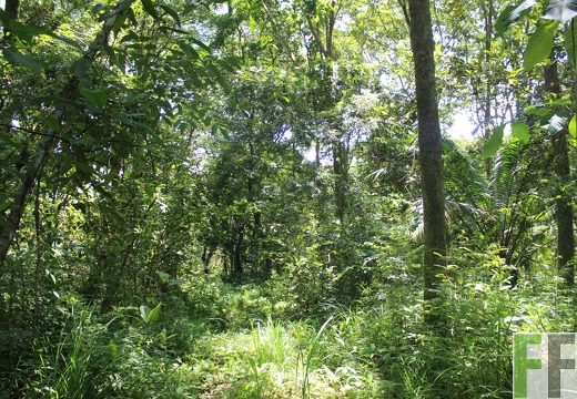 Finca Los Monos I 2022