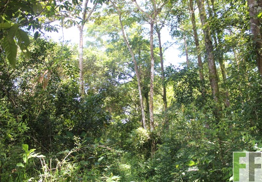 Finca Los Monos I 2022