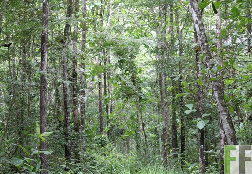 Finca Los Aromos 2022