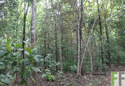 Finca Los Aromos 2022