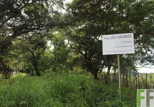 Finca Los Aromos 2022