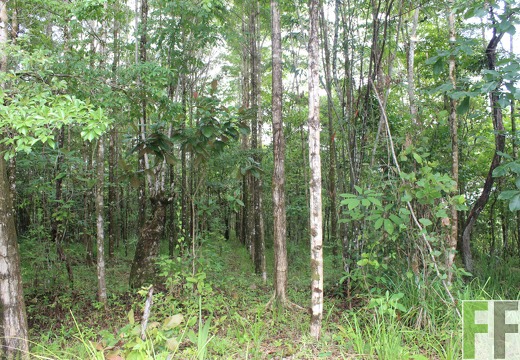 Finca La Luna 2 2022