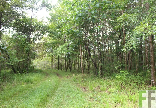 Finca La Luna 2 2022