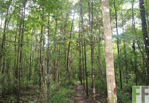 Finca La Luna 2 2022