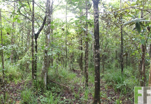 Finca La Luna 2 2022