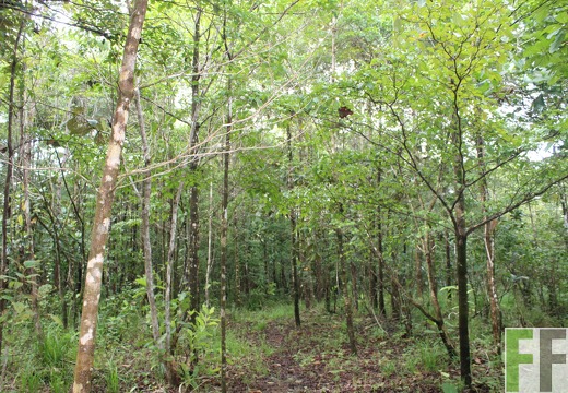 Finca La Luna 2 2022