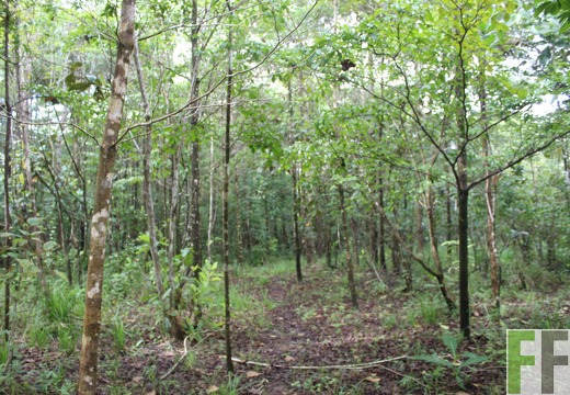 Finca La Luna 2 2022