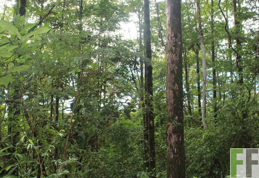 Finca La Luna 2 2022