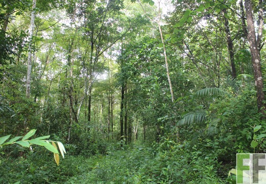 Finca La Luna 2 2022