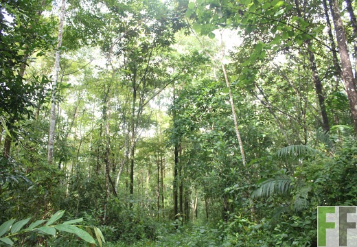 Finca La Luna 2 2022