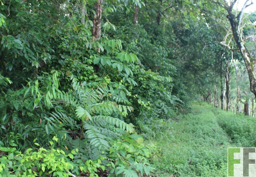 Finca La Luna 2 2022