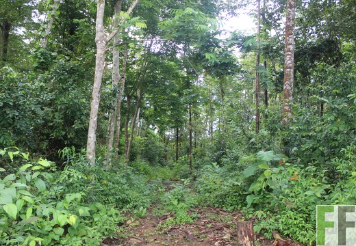 Finca La Luna 2 2022