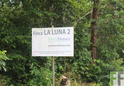 Finca La Luna 2 2022