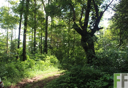 Finca La Luna 1 2022