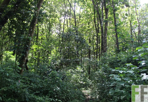 Finca La Luna 1 2022