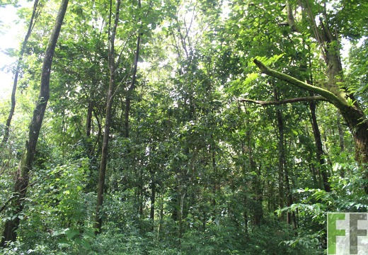 Finca La Luna 1 2022