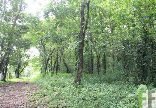 Finca La Luna 1 2022