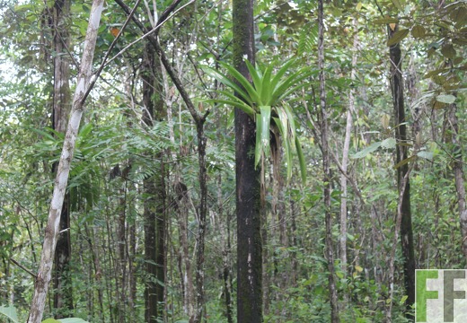 Finca El Espejo 2022